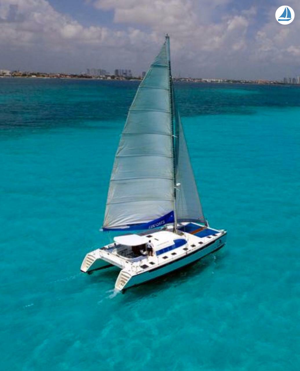 照片 Navyflex 50 2