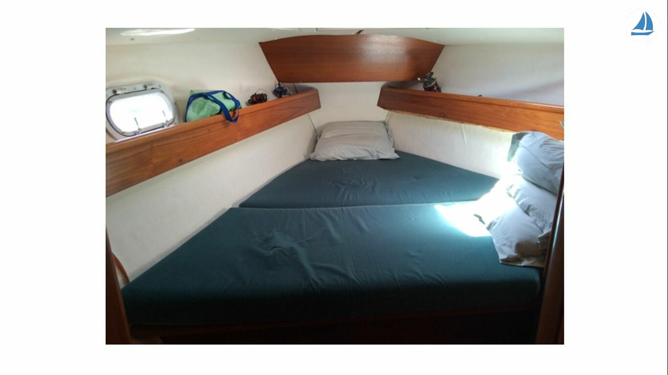 照片 Jeanneau Sun Odyseey 37-1 6