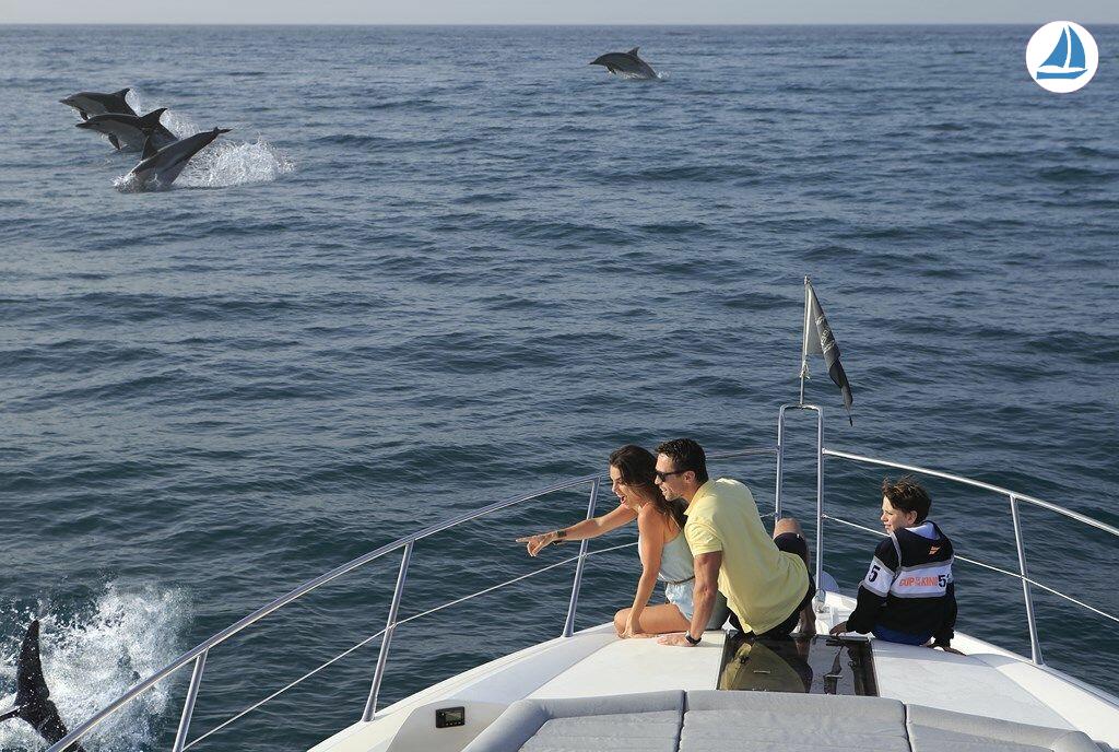 照片 Sunseeker 68 Sport Yacht 6