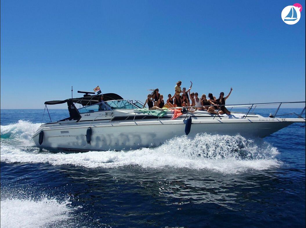 照片 Sea Ray 440 Sea ray, dolphin watching 2