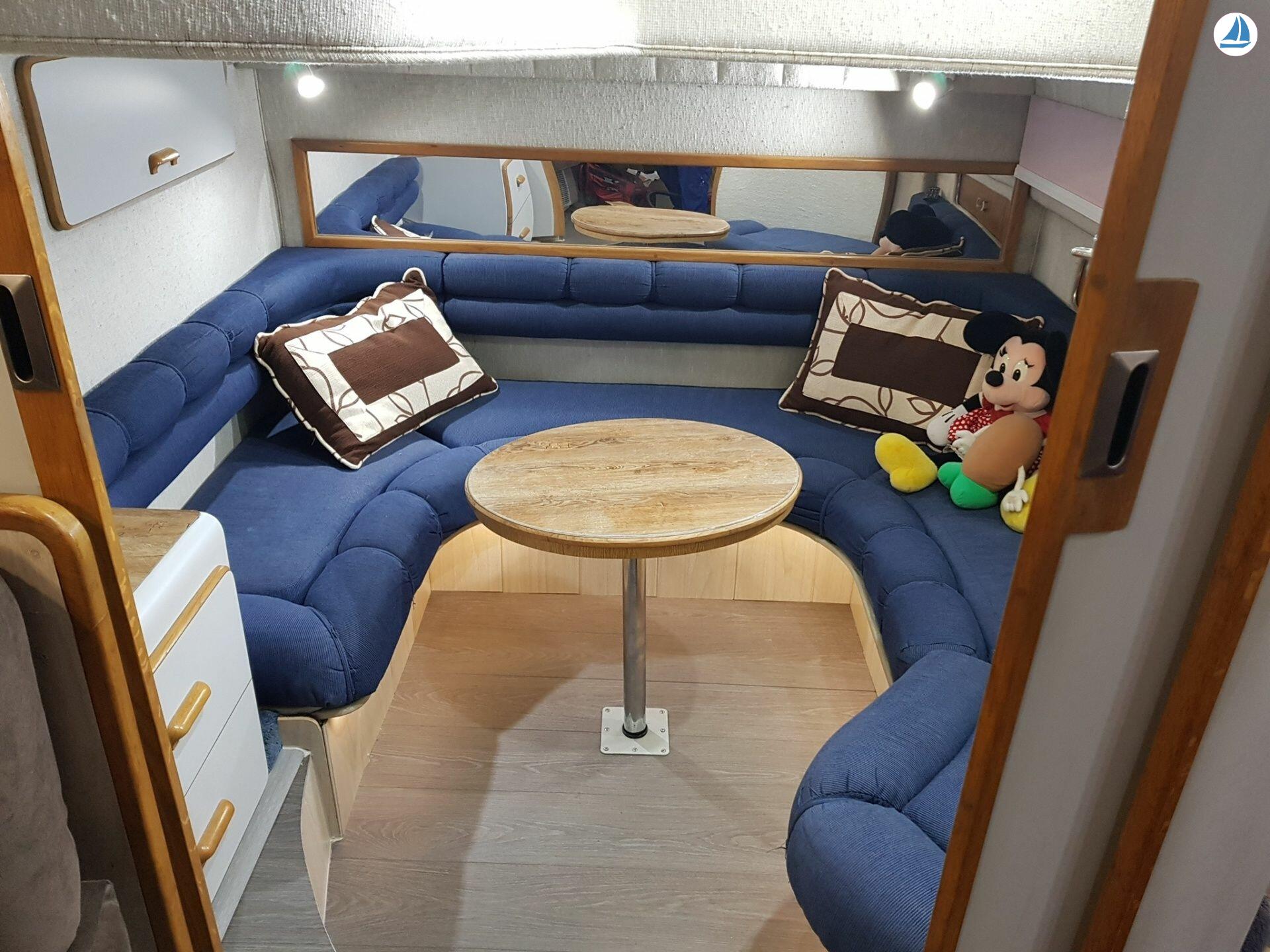 照片 Sea Ray 440 Sea ray, dolphin watching 8