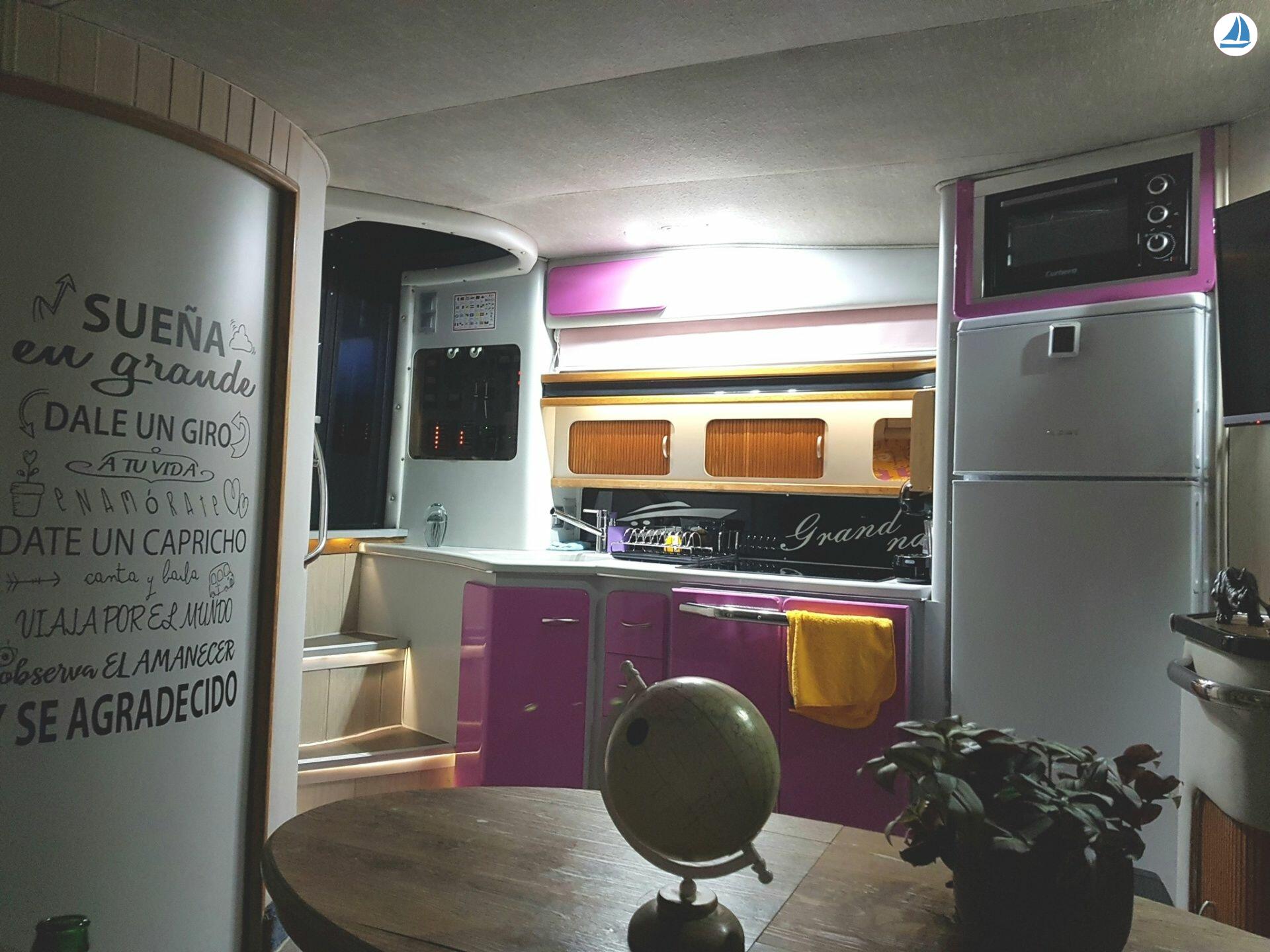 照片 Sea Ray 440 Sea ray, dolphin watching 10