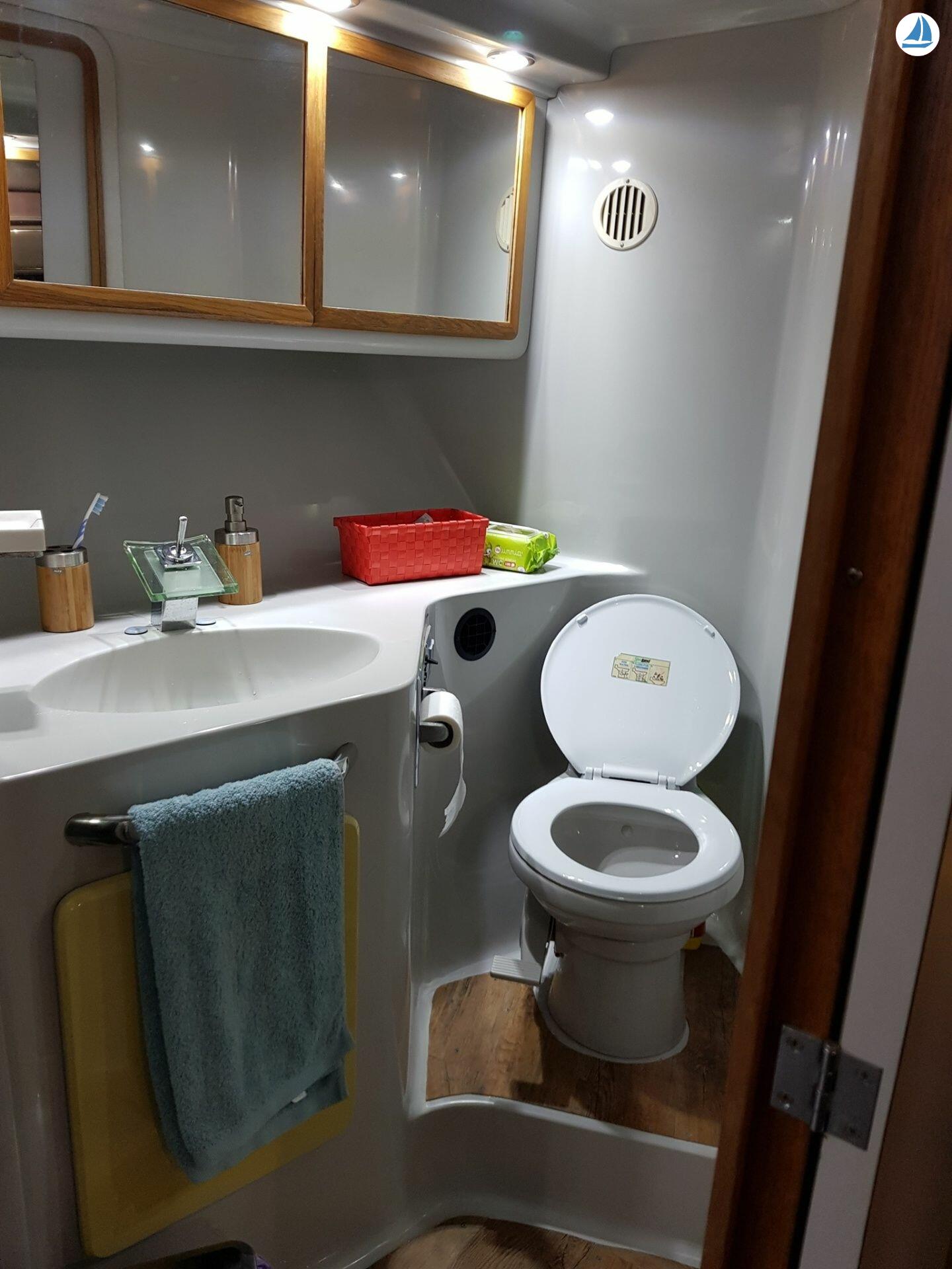 照片 Sea Ray 440 Sea ray, dolphin watching 12