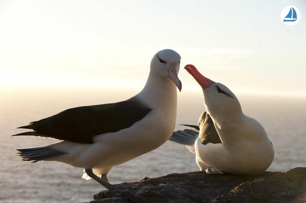 照片 Custom 60' Custom 60' 4