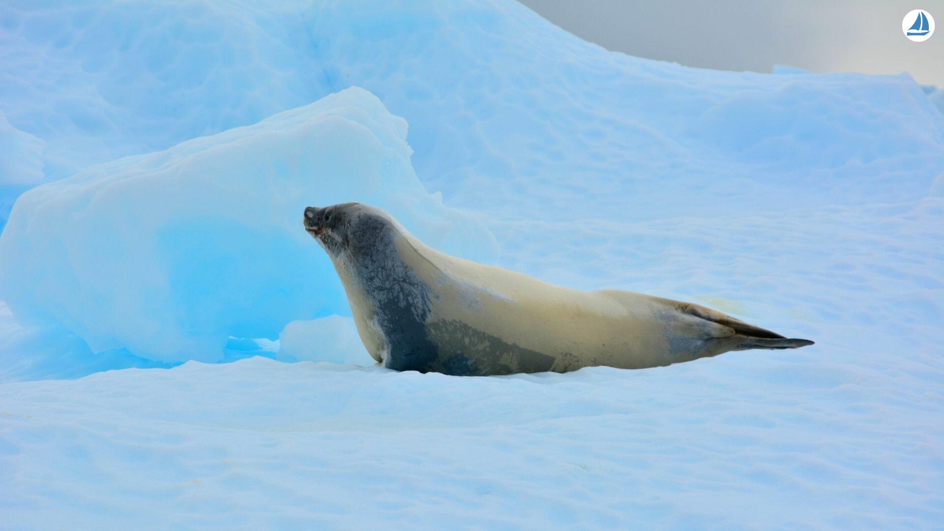 照片 Custom 60' Custom 60' 5