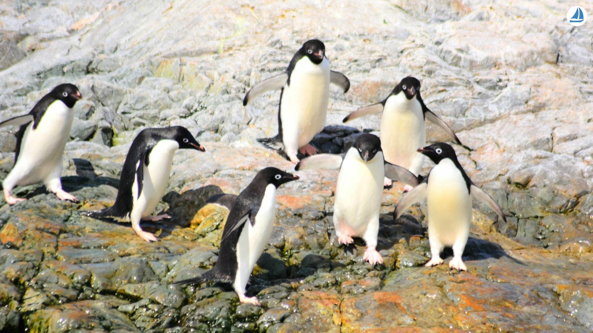 照片 Custom 60' Custom 60' 6