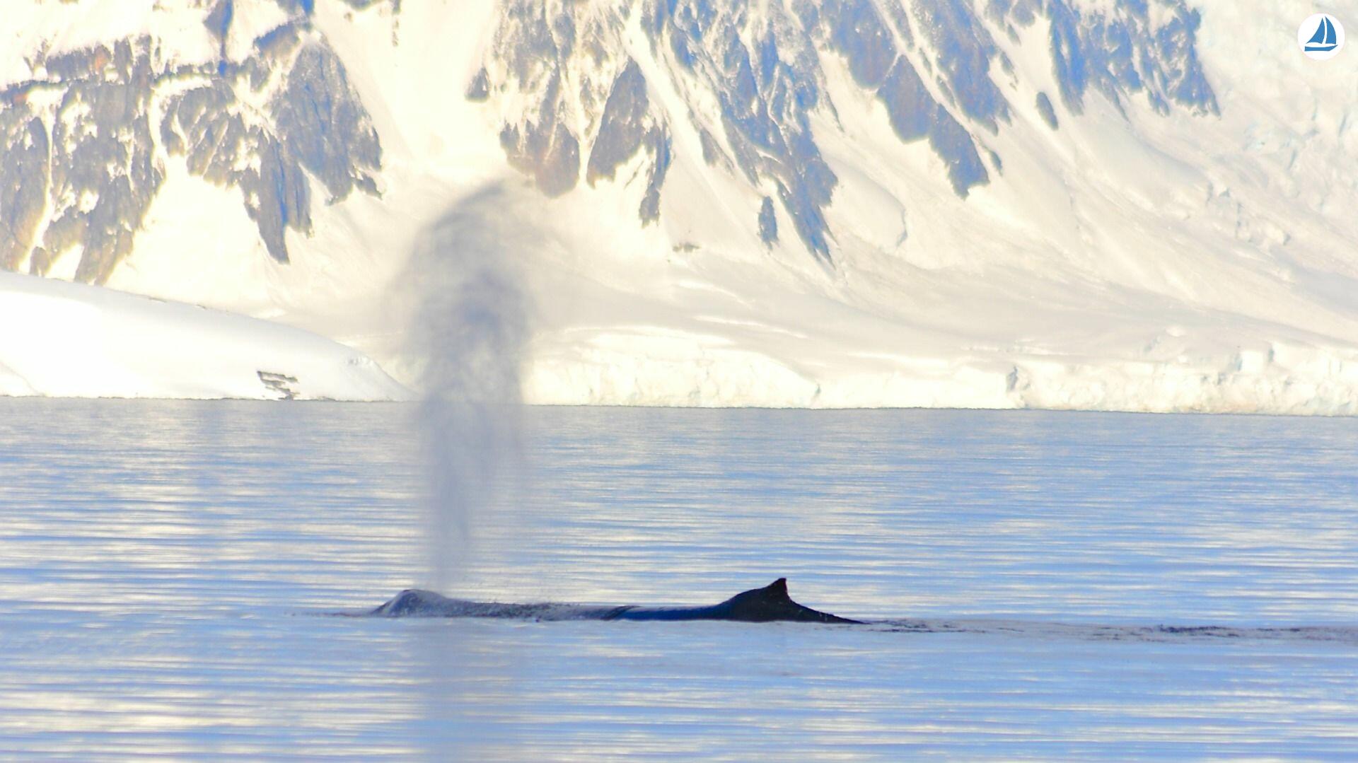 照片 Custom 60' Custom 60' 8