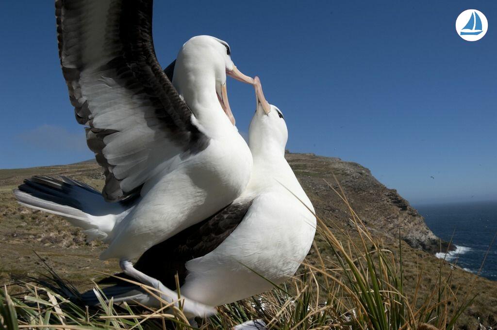 照片 Custom 60' Custom 60' 9