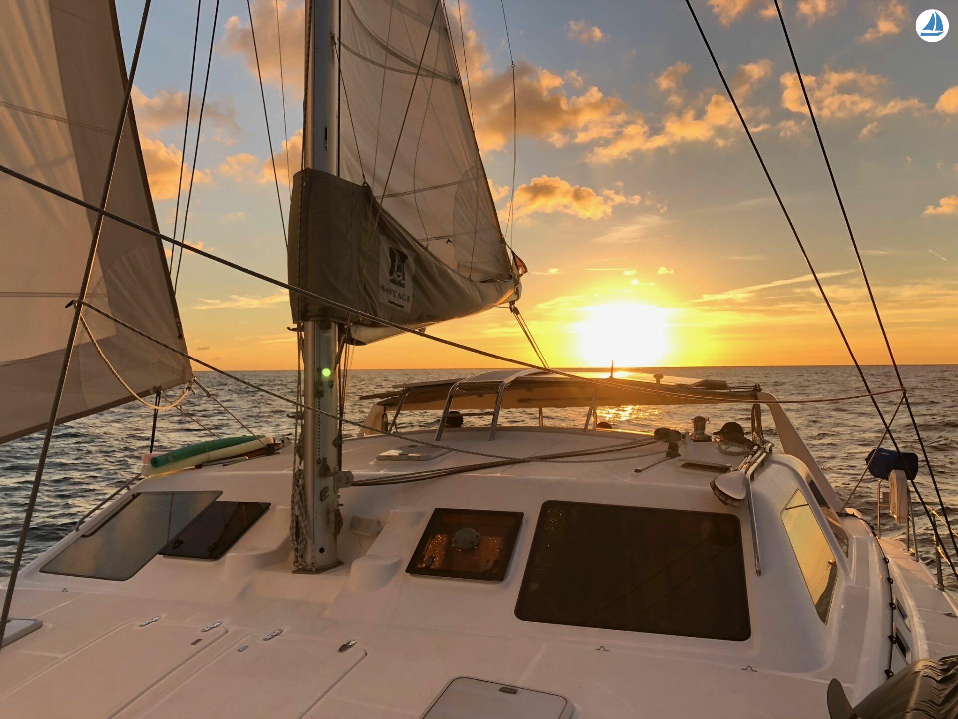 照片 OCEAN VOYAGER 440 3