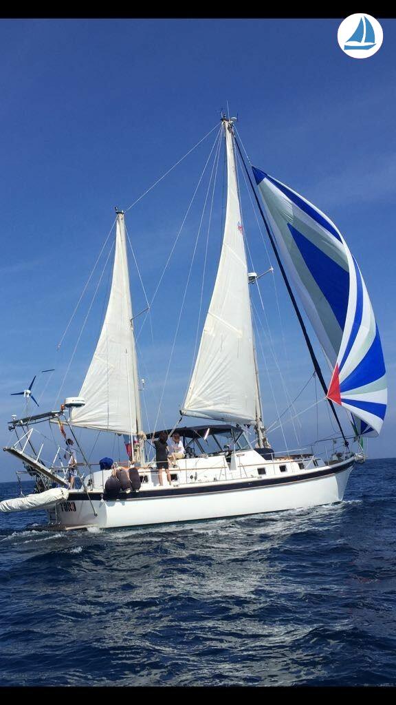 照片 Gulfstar 44 M/S 2