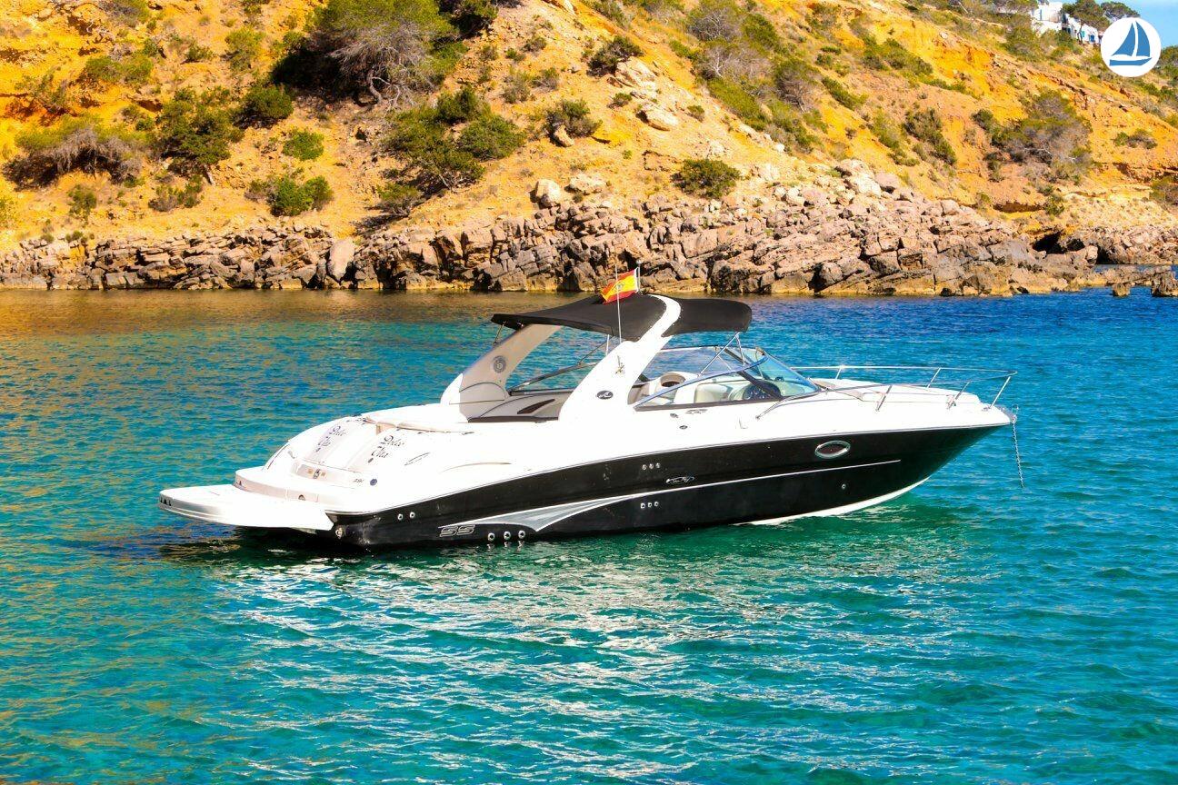 照片 Sea Ray 295 SS 1