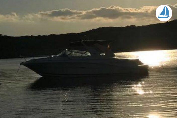 照片 Sea Ray 295 SS 11