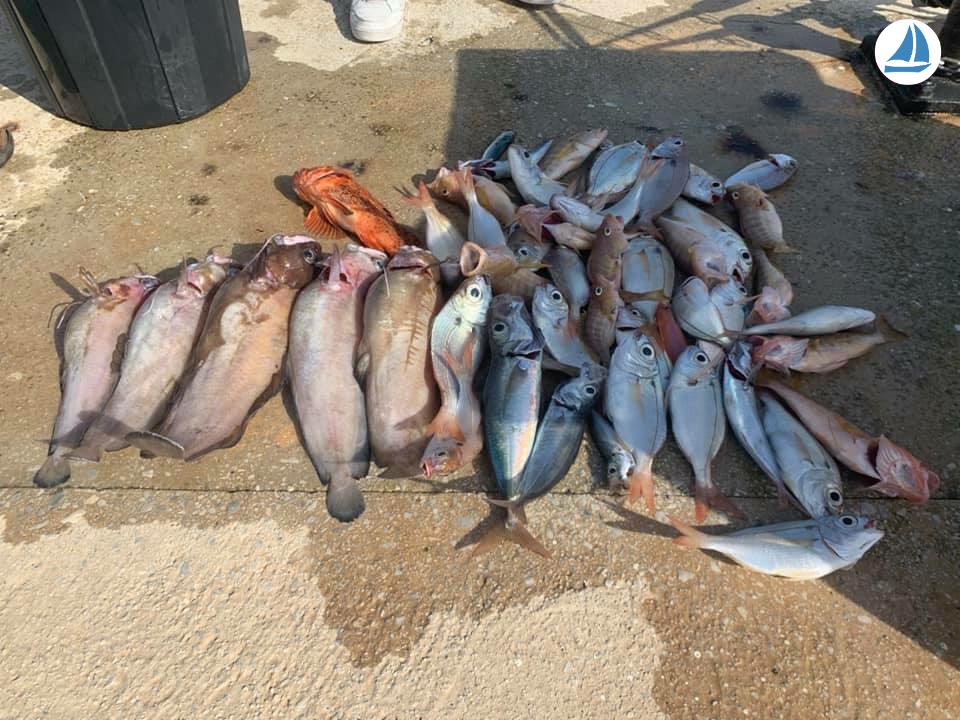 照片 Quicksilver 640 Week-end 4